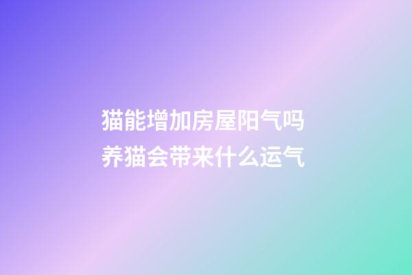 猫能增加房屋阳气吗 养猫会带来什么运气